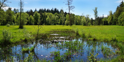 landforst cr paul brodmann 1920x960
