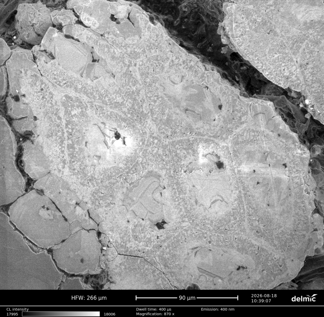 Calcite microcodium 8kV 2nA.ome   Copy