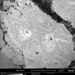 Calcite microcodium 8kV 2nA.ome   Copy