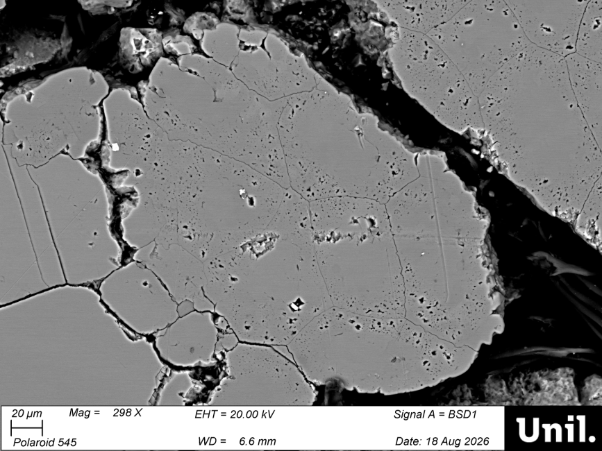 microcodium2   Copy