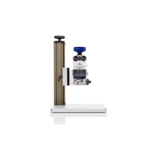 20220209 Gloor Aufrechte Mikroskopie Axioscope vario 2