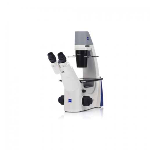 20220209 Gloor Inverse Mikroskopie Primovert 1 1