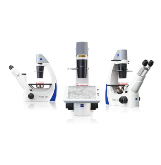 20220209 Gloor Inverse Mikroskopie Primovert 1 4