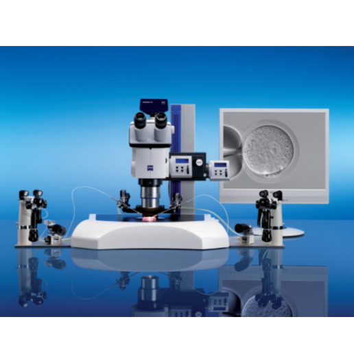 20220209 Gloor Stereomikroskopie SteREO Discovery 6
