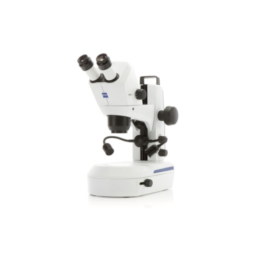 20220209 Gloor Stereomikroskopie Stemi 305 1