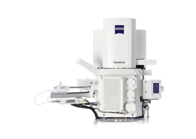 GeminiSEM system