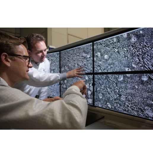 multiSEM monitors