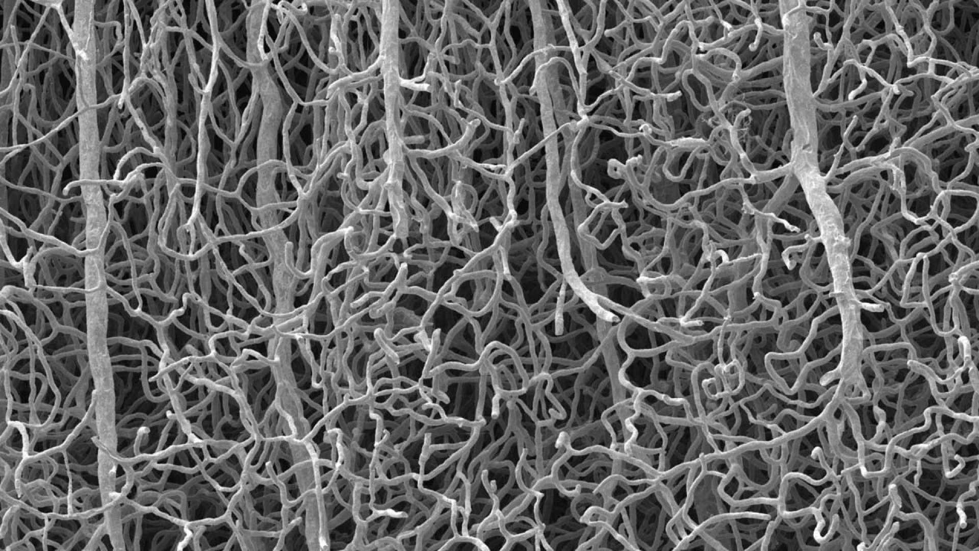 6b383bf8d8cfdb887374021d30ab10e2b3de49b8