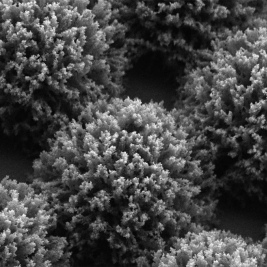 FE SEM platninum nanostructure GeminiSEM