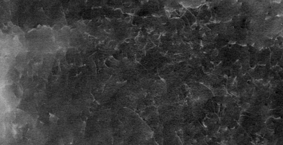 Webinar ZEISS Contrast Imaging TEM