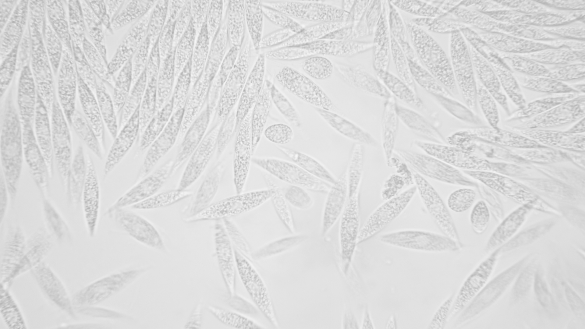 hintergrund applikation 1