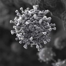 virus 8571742 1920