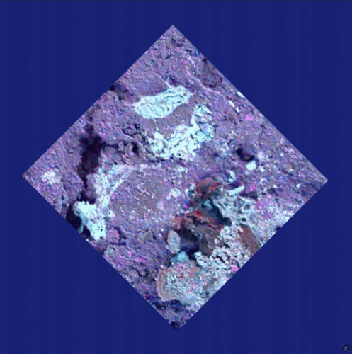 Webinar Oxford Rise Microscopy Raman True Correlative Anaylsis
