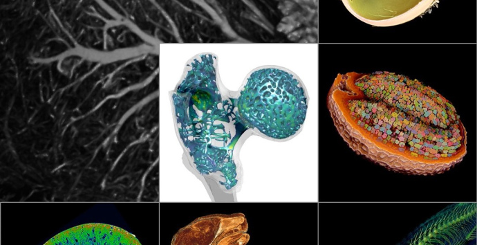 x ray microscopy life science copy