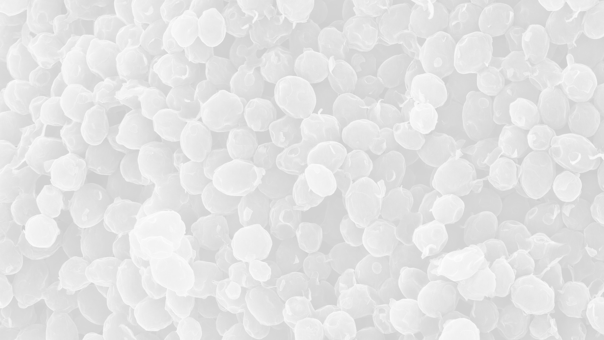 hintergrund gloor macro 1 weiss